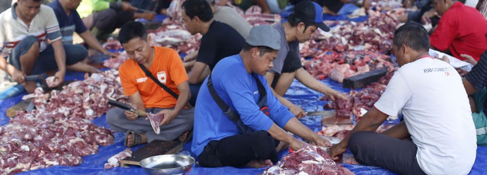 Tebar Kebaikan Hadirkan Berjuta Manfaat, PLN NP Salurkan 51 Ribu Paket Daging Kurban