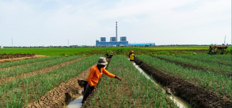 Masuki Semester Dua 2023, PLN NP Sudah Hasilkan 180,9 GWh Energi Bersih