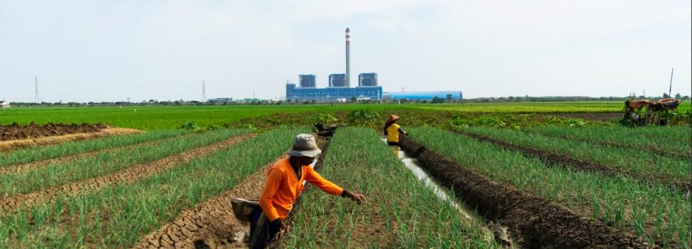 Masuki Semester Dua 2023, PLN NP Sudah Hasilkan 180,9 GWh Energi Bersih