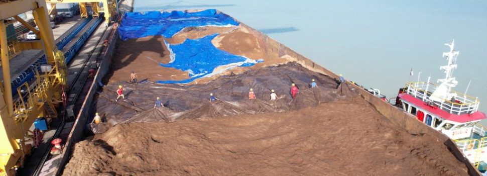 Lewat Jalur Laut, PLN EPI Kirim Biomassa Sawdust ke PLTU Tanjung Awar Awar