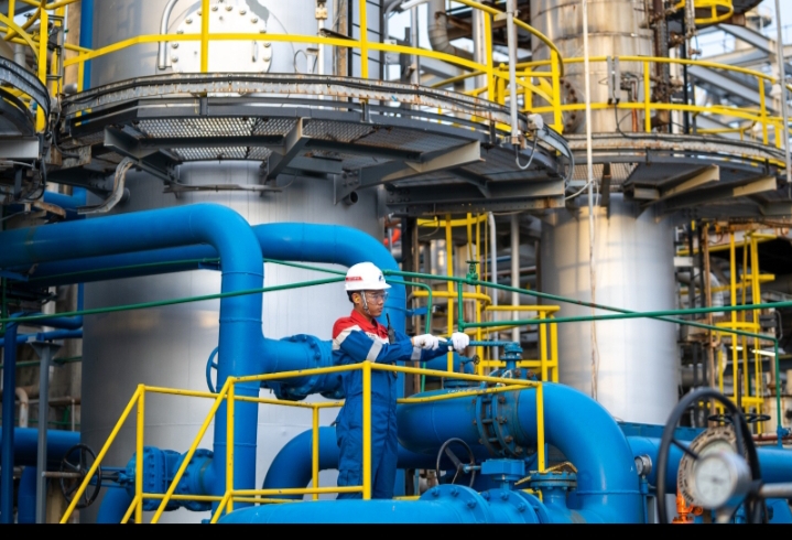 Pertamina Masuk Fortune 500 Global, Kilang Pertamina Internasional Genjot Kontribusi