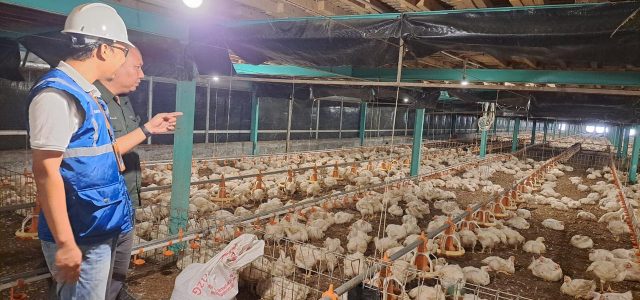 Pemerintah Tetapkan Tarif Listrik Tidak Naik, PLN Siap Beri Pelayanan Optimal