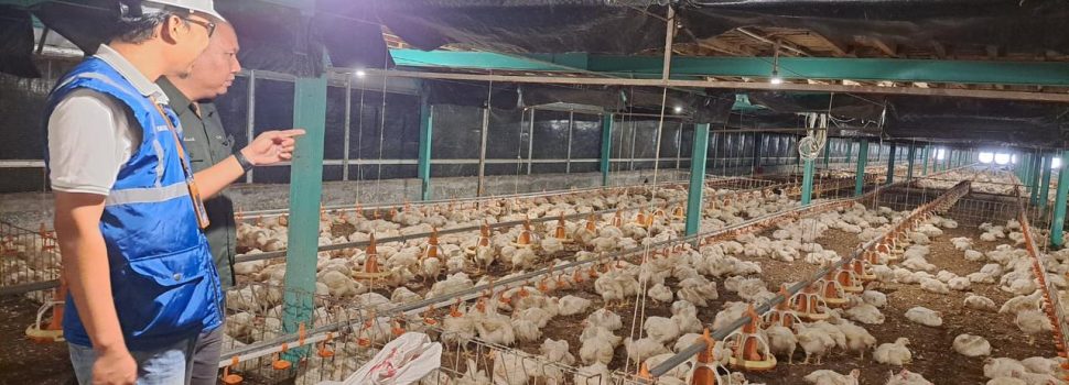 Pemerintah Tetapkan Tarif Listrik Tidak Naik, PLN Siap Beri Pelayanan Optimal