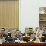 Komisi VI DPR RI Dukung Usulan PMN PLN untuk Program Listrik Desa