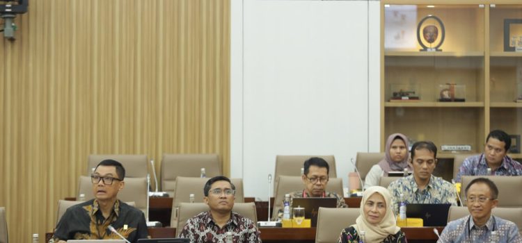 Komisi VI DPR RI Dukung Usulan PMN PLN untuk Program Listrik Desa