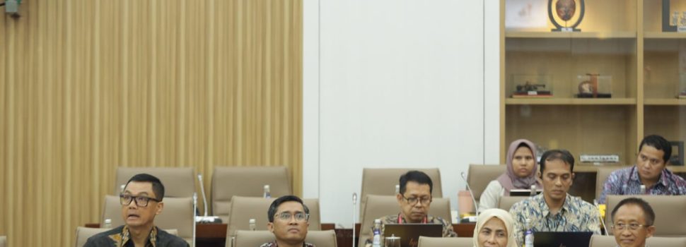 Komisi VI DPR RI Dukung Usulan PMN PLN untuk Program Listrik Desa