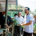 Dorong Penurunan Emisi, PLN EPI Kembangkan Ekosistem Green Ekonomi di Gunung Kidul