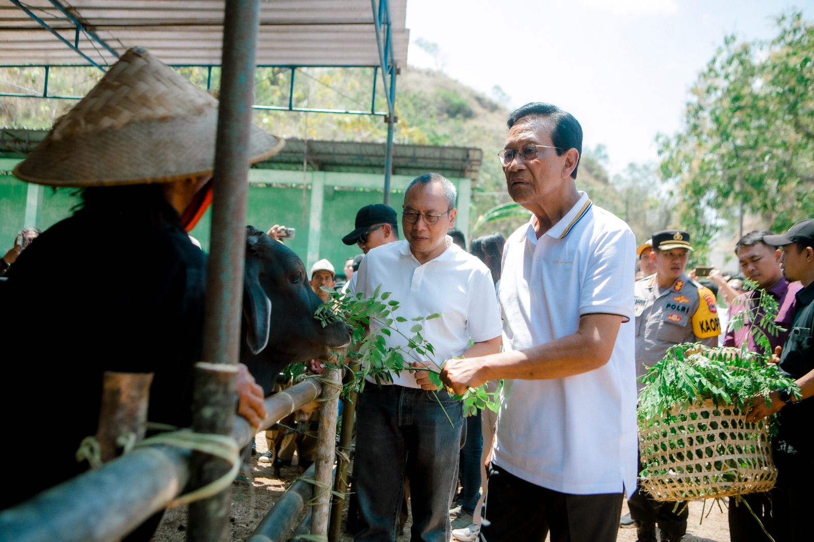Dorong Penurunan Emisi, PLN EPI Kembangkan Ekosistem Green Ekonomi di Gunung Kidul