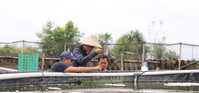 Dorong Pengembangan Bisnis, 10 Startup Program PLN Connext Ikuti Pendampingan Eksplorasi Bisnis