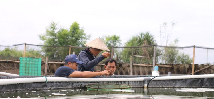Dorong Pengembangan Bisnis, 10 Startup Program PLN Connext Ikuti Pendampingan Eksplorasi Bisnis