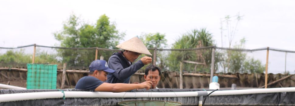 Dorong Pengembangan Bisnis, 10 Startup Program PLN Connext Ikuti Pendampingan Eksplorasi Bisnis
