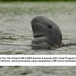 Pertamina Lestarikan Pesut Mahakam Melalui Program Konservasi Endemik