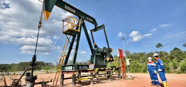 Pengamat Optimis PHE Tak Akan Terlantarkan Sumur Migas Idle