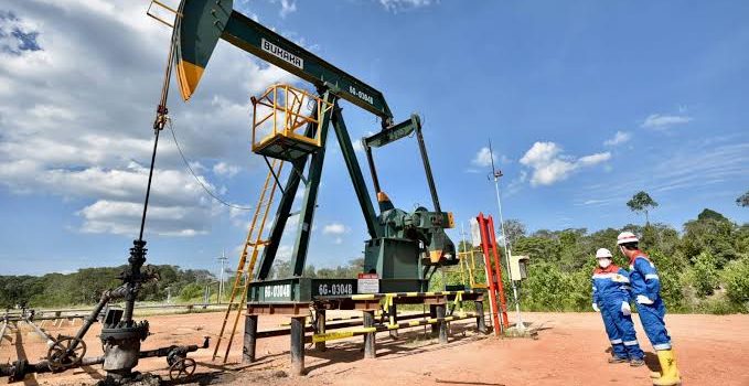 Pengamat Optimis PHE Tak Akan Terlantarkan Sumur Migas Idle