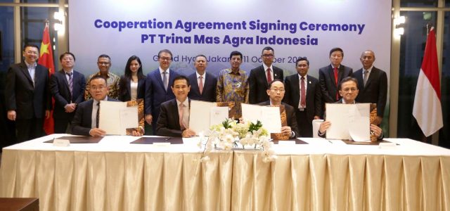 PLN Group Siap Produksi Solar Panel Dengan Teknologi Mutakhir