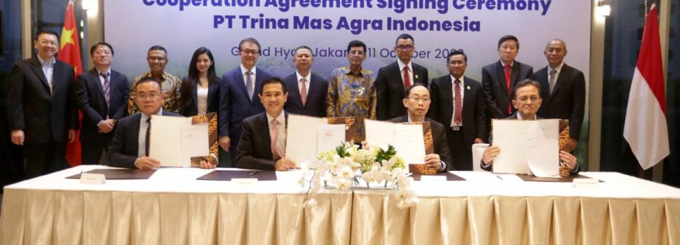 PLN Group Siap Produksi Solar Panel Dengan Teknologi Mutakhir