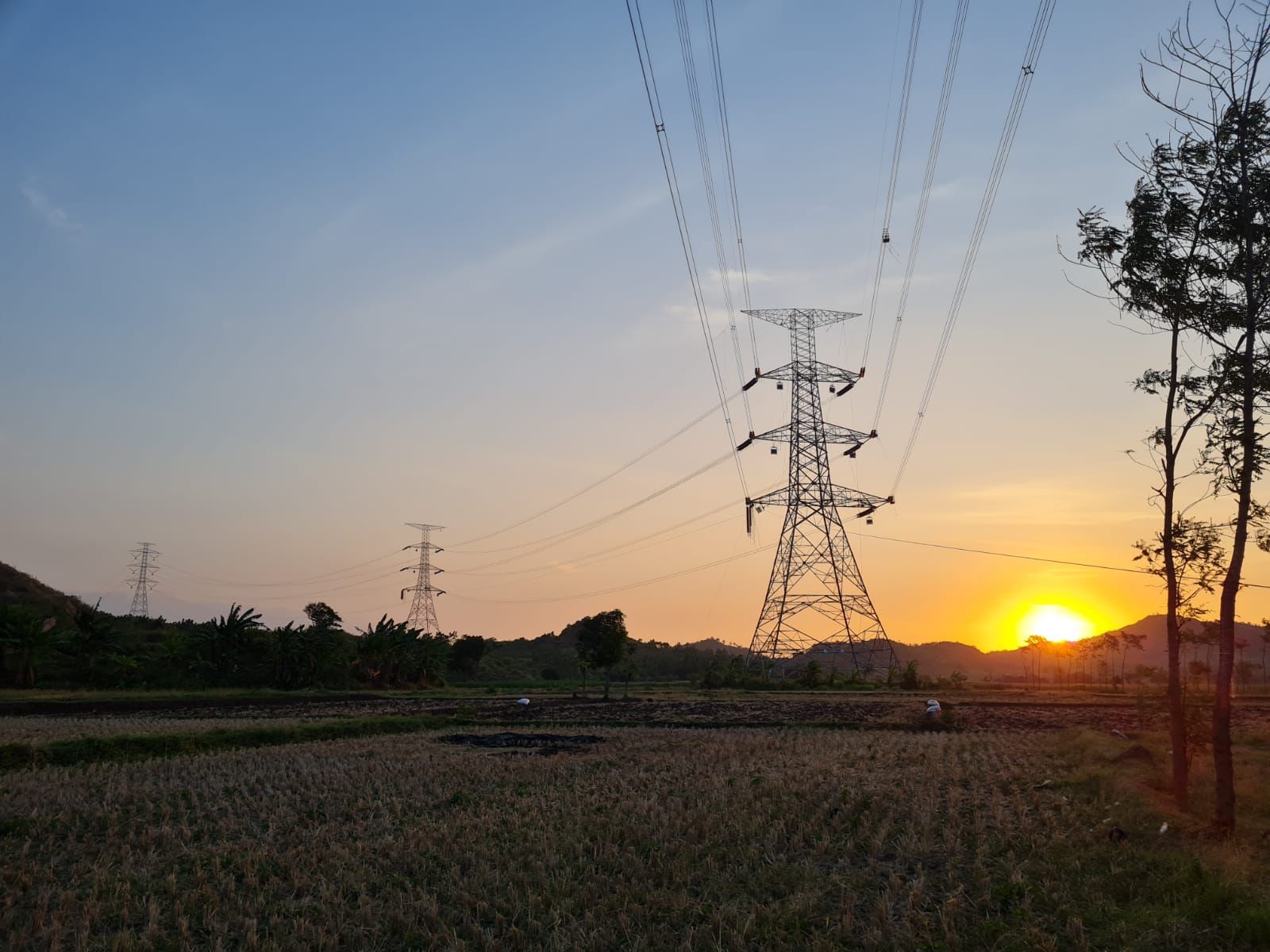 Pastikan Agenda Transisi Energi, PLN Terus Berupaya Bangun Konektivitas Digital