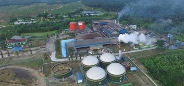 Kembangkan EBT, Perusahaan Sawit Ini Bakal Bangun PLTBg