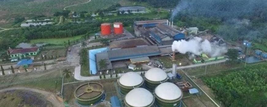 Kembangkan EBT, Perusahaan Sawit Ini Bakal Bangun PLTBg