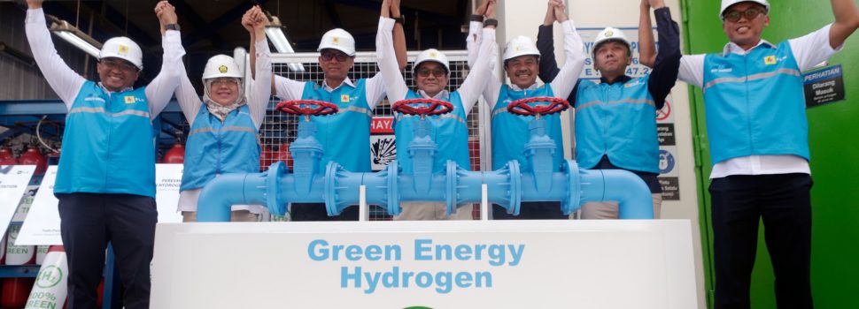Kementerian ESDM Sebut PLN Punya Cara Paling Cepat Hasilkan Green Hydrogen