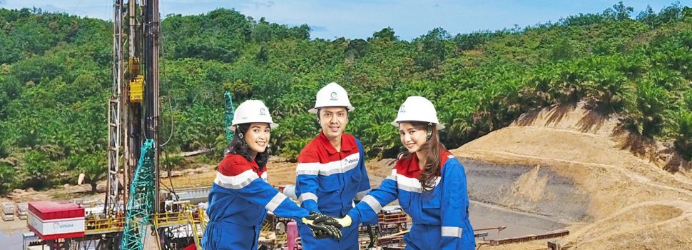 Perluas Lini Bisnis, Elnusa Mulai Garap Sektor Petrokimia