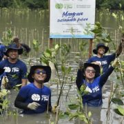 Ribuan Pekerja Medco E&P Ikut Tanam dan Donasi Pohon di Lahan Kritis