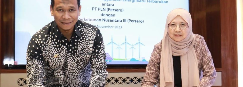 PLN Bakal Pasok Listrik Hijau Untuk PTPN III dan Alfamidi