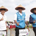 Hingga September 2023, PLN Restorasi 308 Hektar Lahan Tandus Jadi Paru-Paru Baru