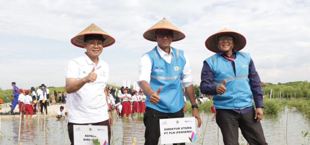 Hingga September 2023, PLN Restorasi 308 Hektar Lahan Tandus Jadi Paru-Paru Baru