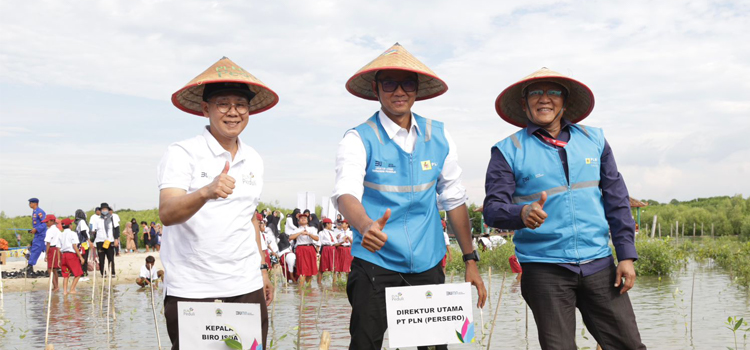 Hingga September 2023, PLN Restorasi 308 Hektar Lahan Tandus Jadi Paru-Paru Baru