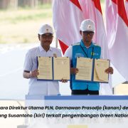 PLN dan Otorita IKN Berkolaborasi Siapkan Green National Capital City di IKN Nusantara