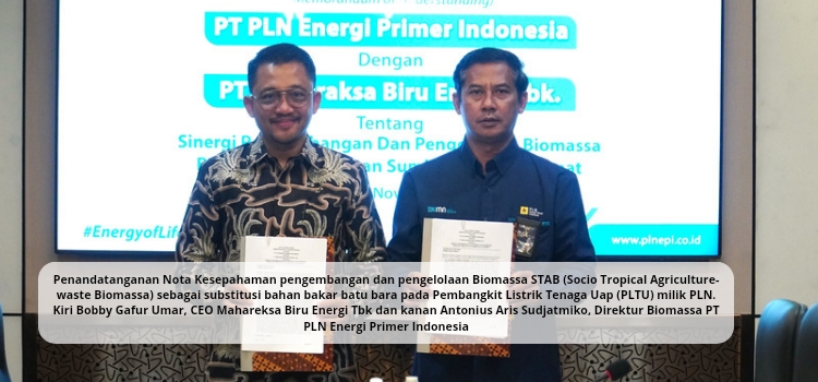 Kembangkan dan Kelolaa Biomassa STAB, PLN EPI Gandeng Maharaksa Biru Energi