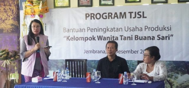 Pakai Mesin Bantuan Srikandi PLN, Petani Wanita Jembrana Makin Hemat  dalam Produksi Keripik Buah