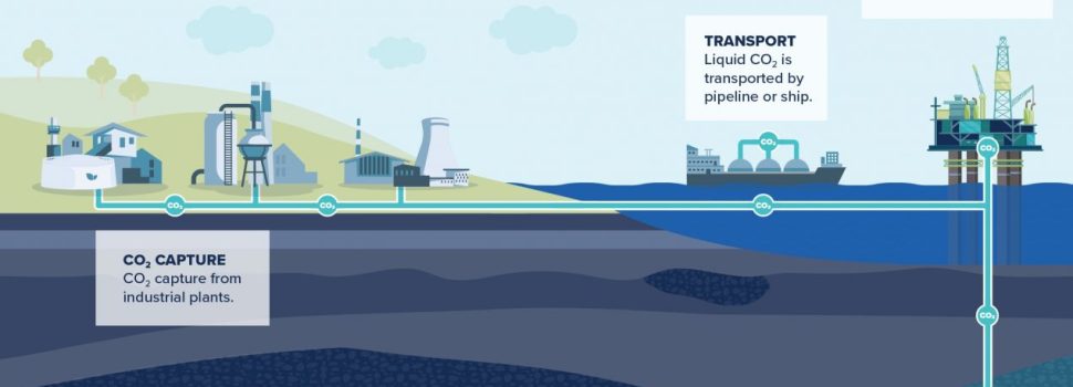 Manfaatkan Potensi untuk Masa Depan Hijau, CCS Jadi Pendorong Perekonomian Indonesia