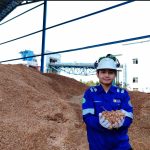 Produksi Energi Hijau Dua Kali Lipat, PLN NP Hasilkan 525,62 GWh Energi Hijau dari Co-Firing