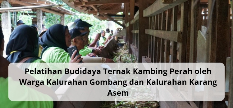 PLN EPI Beri Pelatihan Ternak Kambing Perah untuk Masyarakat Gunung Kidul