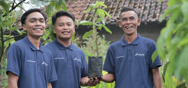 Luaar Biasa, Hutan Pertamina Tanam Lebih Dari Enam Juta Pohon