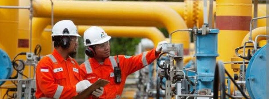 Program HGBT Tak Berjalan Baik, AGK Kinerja Industri Kurang Greget