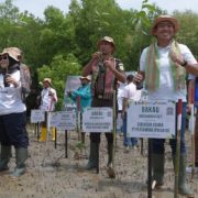 Dukung Upaya Mitigasi Perubahan Iklim, Pertamina Rehabilitasi Mangrove di Nusa Tenggara Timur