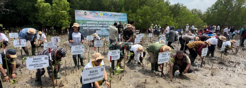 Hari Bakti Rimbawan ke-41, PLN Tanam Ribuan Mangrove di NTT