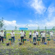 Jalin Sinergitas, PLN EPI dan PLN IP Dorong Kawasan Ekowisata Mangrove di Cilacap