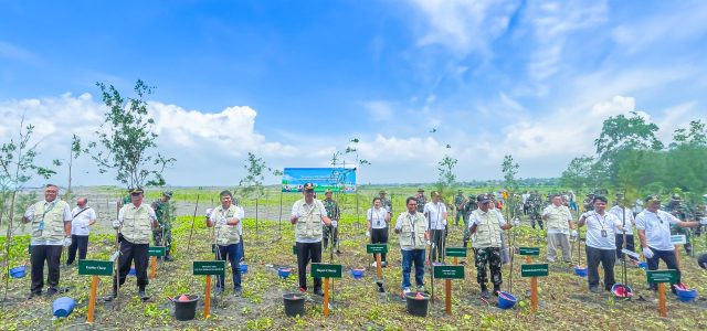 Jalin Sinergitas, PLN EPI dan PLN IP Dorong Kawasan Ekowisata Mangrove di Cilacap