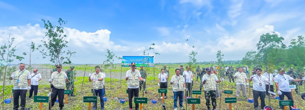 Jalin Sinergitas, PLN EPI dan PLN IP Dorong Kawasan Ekowisata Mangrove di Cilacap