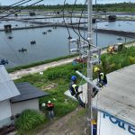 Gunakan Listrik PLN, Perusahaan Tambak Udang di Maluku Berhasil Efisiensi Rp 123 Juta Lebih per Hari