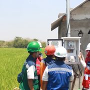Tingkatkan Produktivitas Pertanian, Program EA PLN Bikin Panen Raya Petani Padi di Ponorogo Sukses