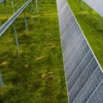 RI Maksimalkan Diversifikasi Energi Melalui Berbagai Cara