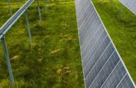 RI Maksimalkan Diversifikasi Energi Melalui Berbagai Cara