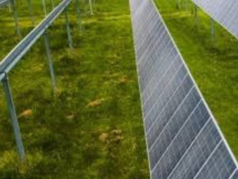 RI Maksimalkan Diversifikasi Energi Melalui Berbagai Cara