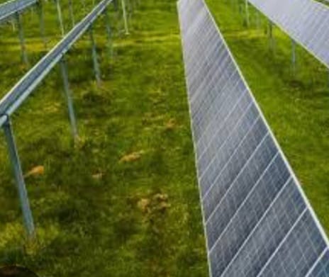 RI Maksimalkan Diversifikasi Energi Melalui Berbagai Cara
