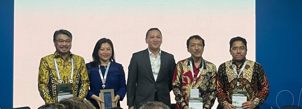 Di Hadapan Investor, RI Komitmen Kembangkan Energi Hijau